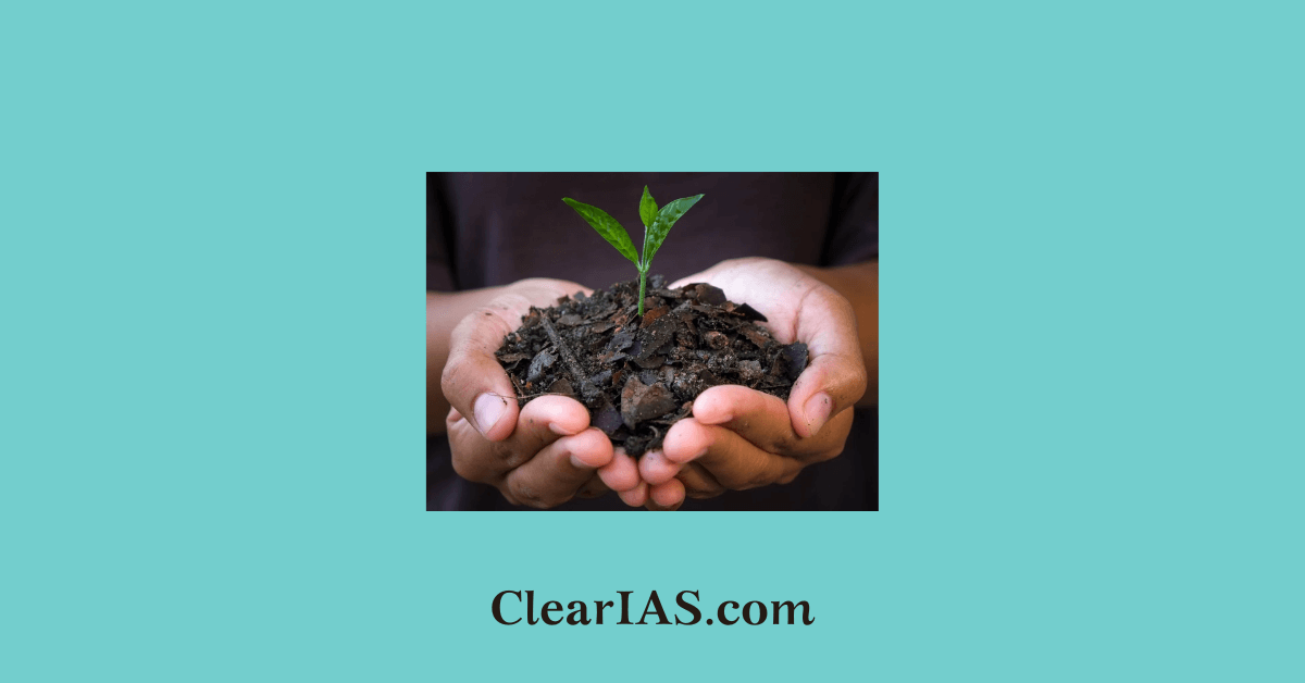 biochar