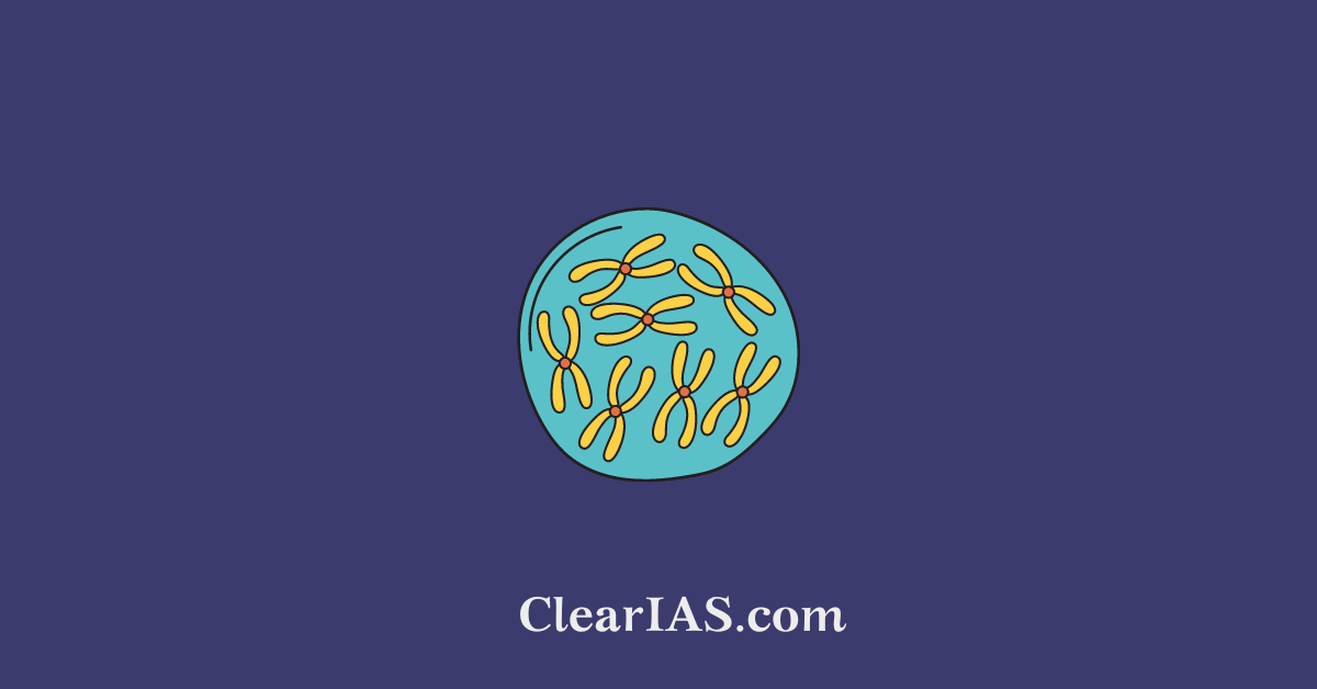 Chromosome and Chromosomal Disorders in Humans - ClearIAS