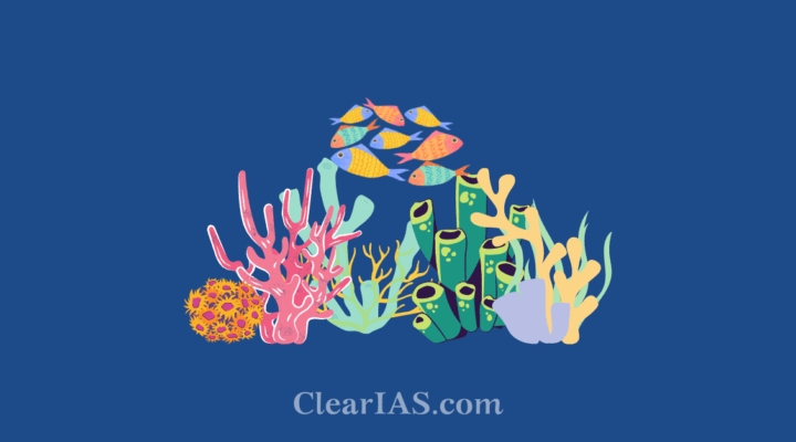 coral reefs