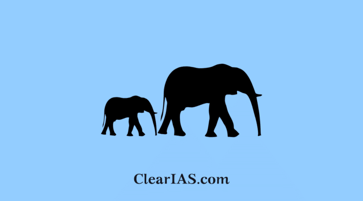 elephant corridor