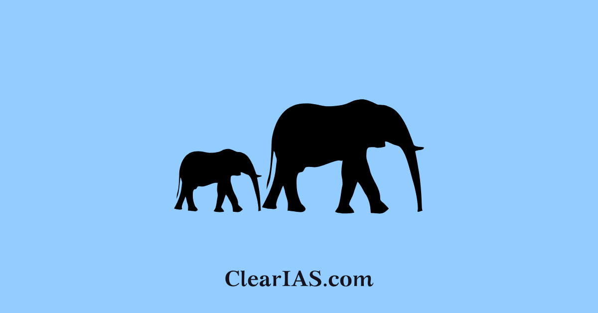 elephant corridor