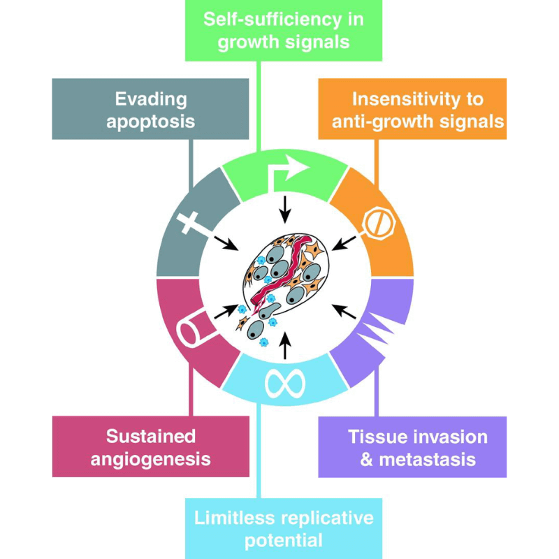 hallmarks of cancer
