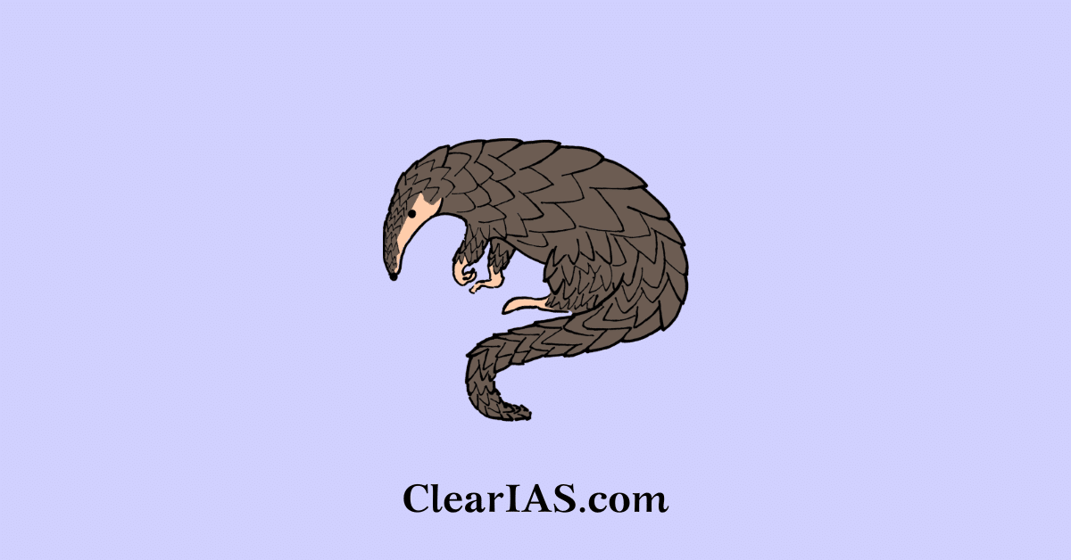 himalayan pangolin