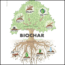 Biochar: What is its potential in carbon removal? - ClearIAS