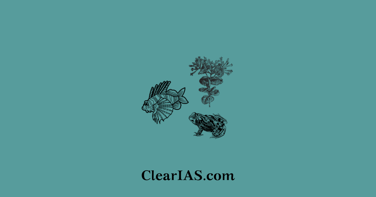invasive species