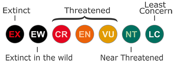 Endangered Species Classification Chart