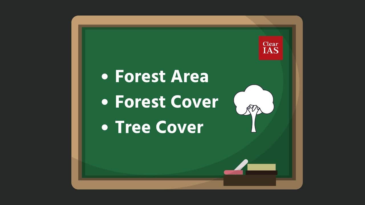 India State of Forest Report 2019 Key Findings ClearIAS