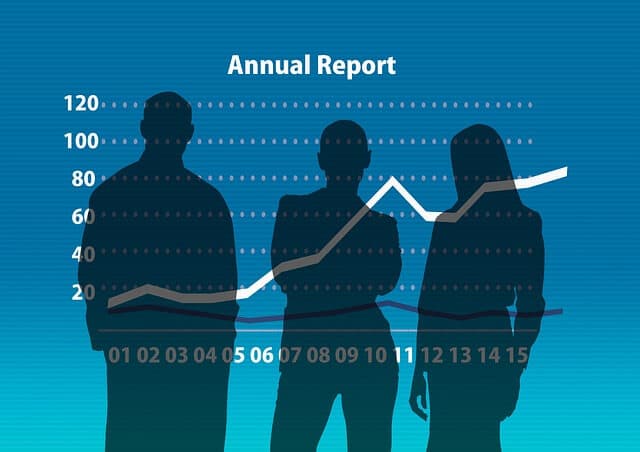 Names of reports published by organisations