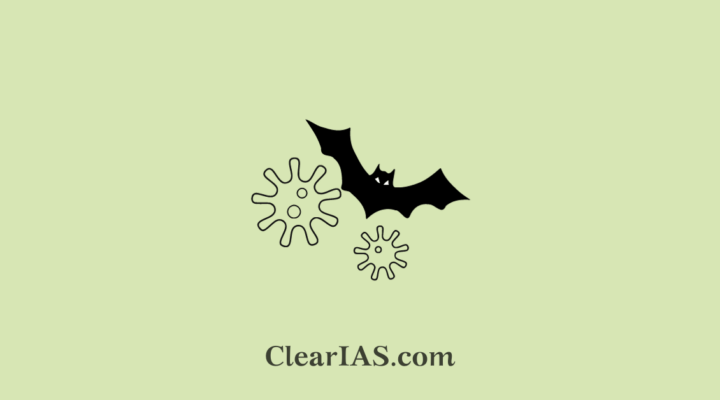 nipah virus