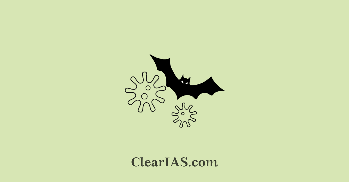 nipah virus