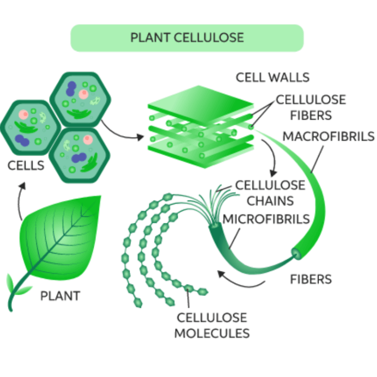 Cellulose ClearIAS