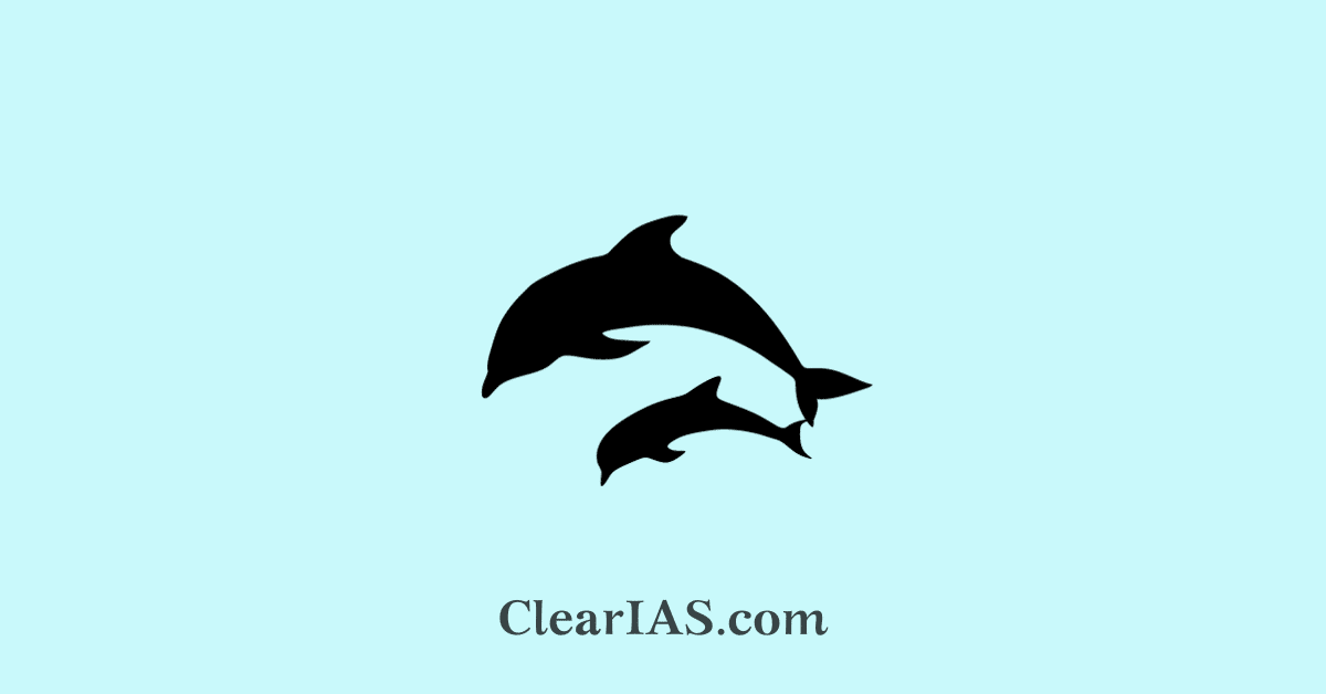 river dolphin