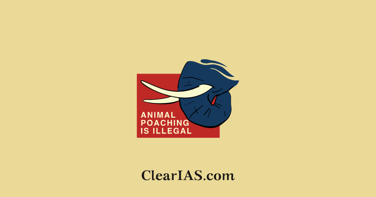 wildlife crime